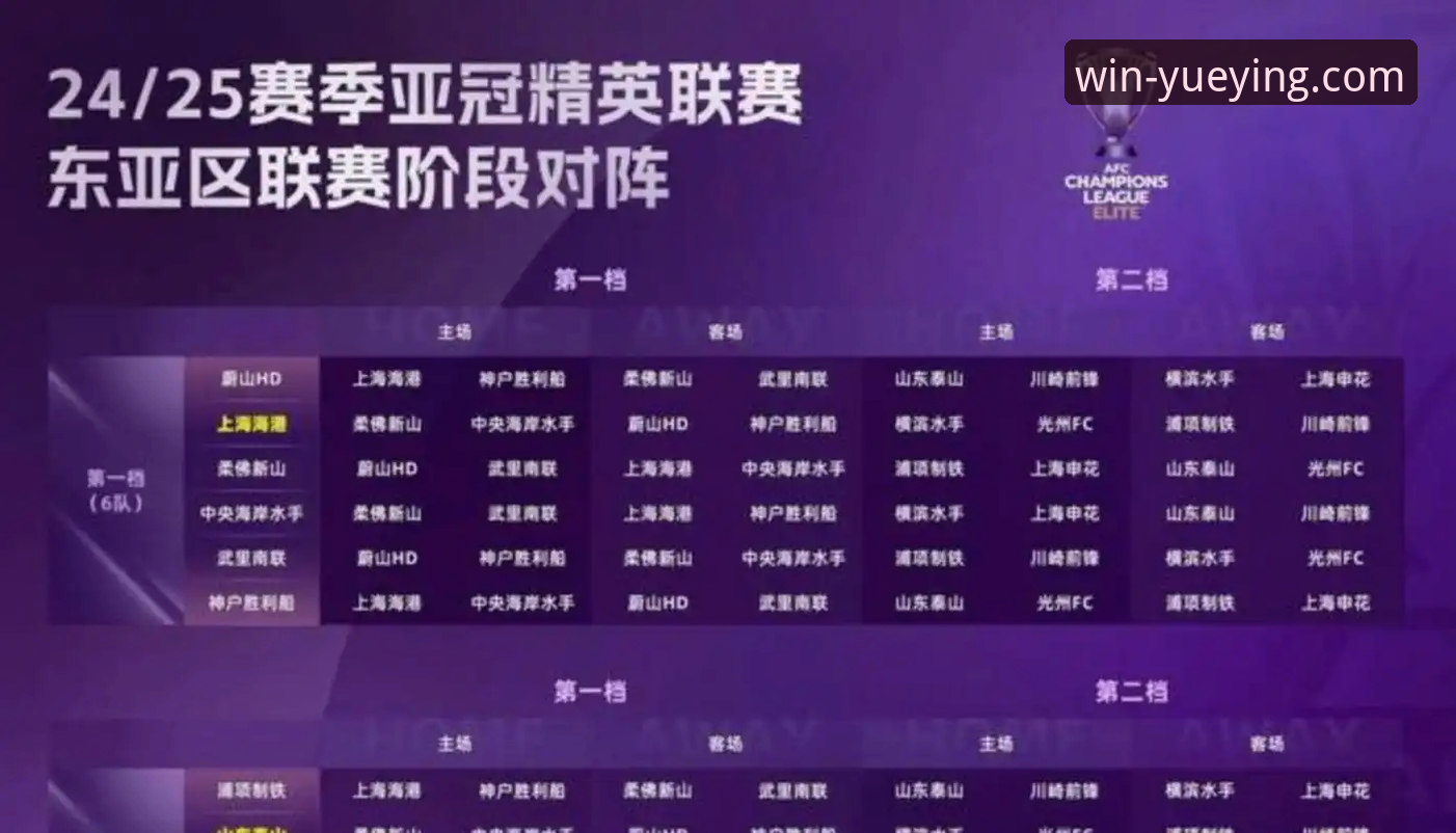 悦盈体育官网下载功能详解 亚冠精英联赛扩军深度评测:中超名额从1.5到2.5的全面体验报告