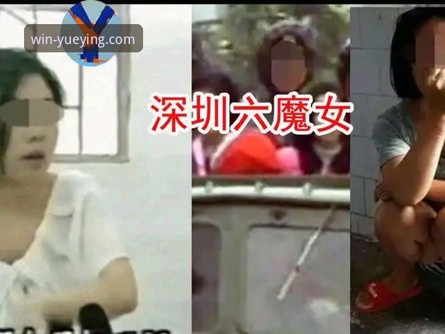 深度揭秘：悦盈体育官网网页版安装失败背后的真相与解决方案